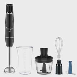 Moulinex Bras Mixeur 4in1 Infiny Force DD944810