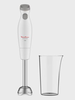 Bras bras Mixeur Moulinex easy chef  inox DD451110