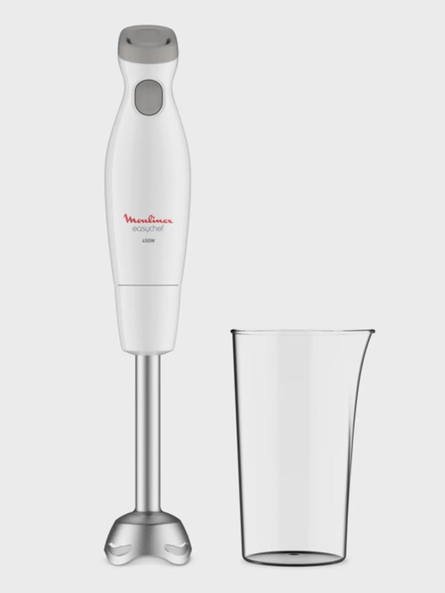 Bras bras Mixeur Moulinex easy chef  inox DD451110